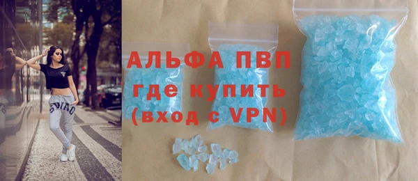 ГАЛЛЮЦИНОГЕННЫЕ ГРИБЫ Богданович