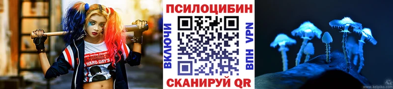 Галлюциногенные грибы мицелий  как найти закладки  Бодайбо 